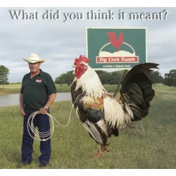 BBQ Shit - Big Cock Ranch