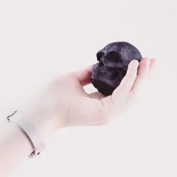 Skulls Doodskop briketten